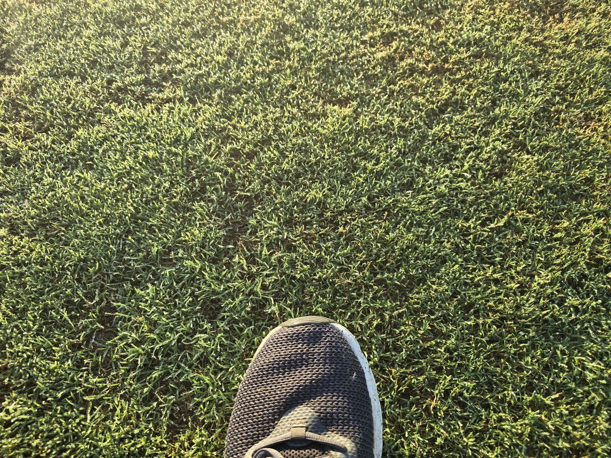 George Farmer tweet media