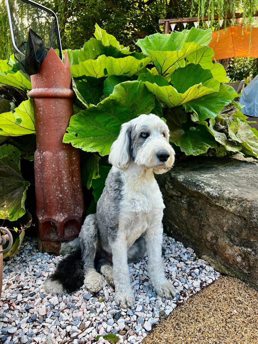 Debbie Clinton tweet media