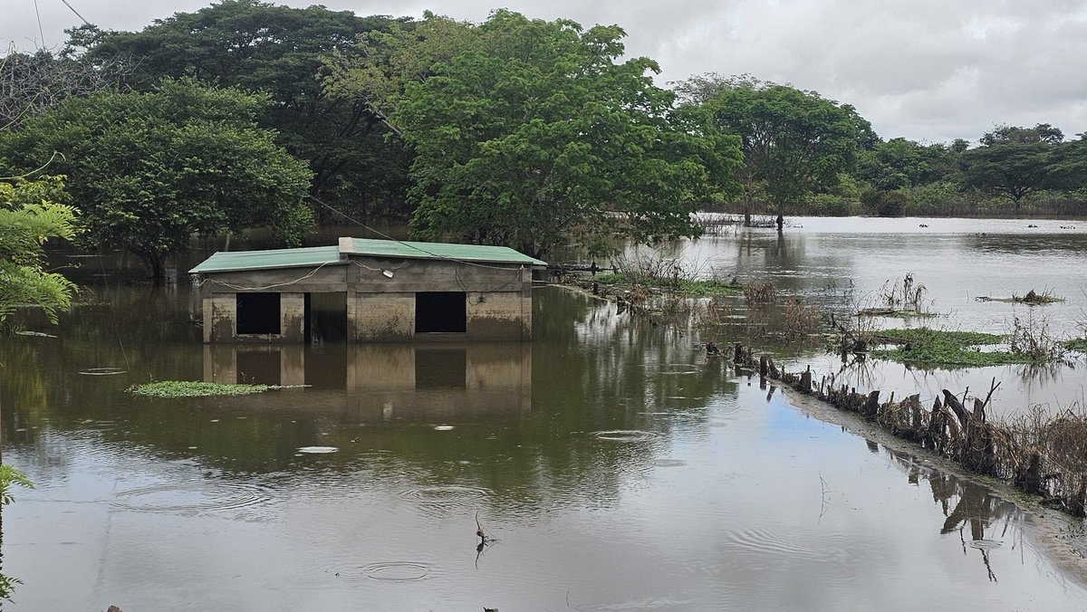 ktqmene's tweet photo. Pese a tanta calamidad por las inundaciones en el llano no se ve a nadie del regimen apoyando, ayudando, solo vacunaron en algunos sectores para la foto, pero la situación es muy grave en Guárico y Apure.
#SOSGUÁRICO #SOSAPURE https://t.co/eoeMRqCAnO