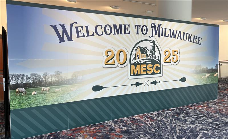 Gainwell Technologies is live at #MESC2025! Visit us at Booth #223 to explore cutting-edge Medicaid solutions.  

✅ Live demos  
✅ Expert consultations  
✅ Insights into key innovations  

Let's innovate together!  

#MedicaidInnovation #HealthcareSolutions #Gainwell