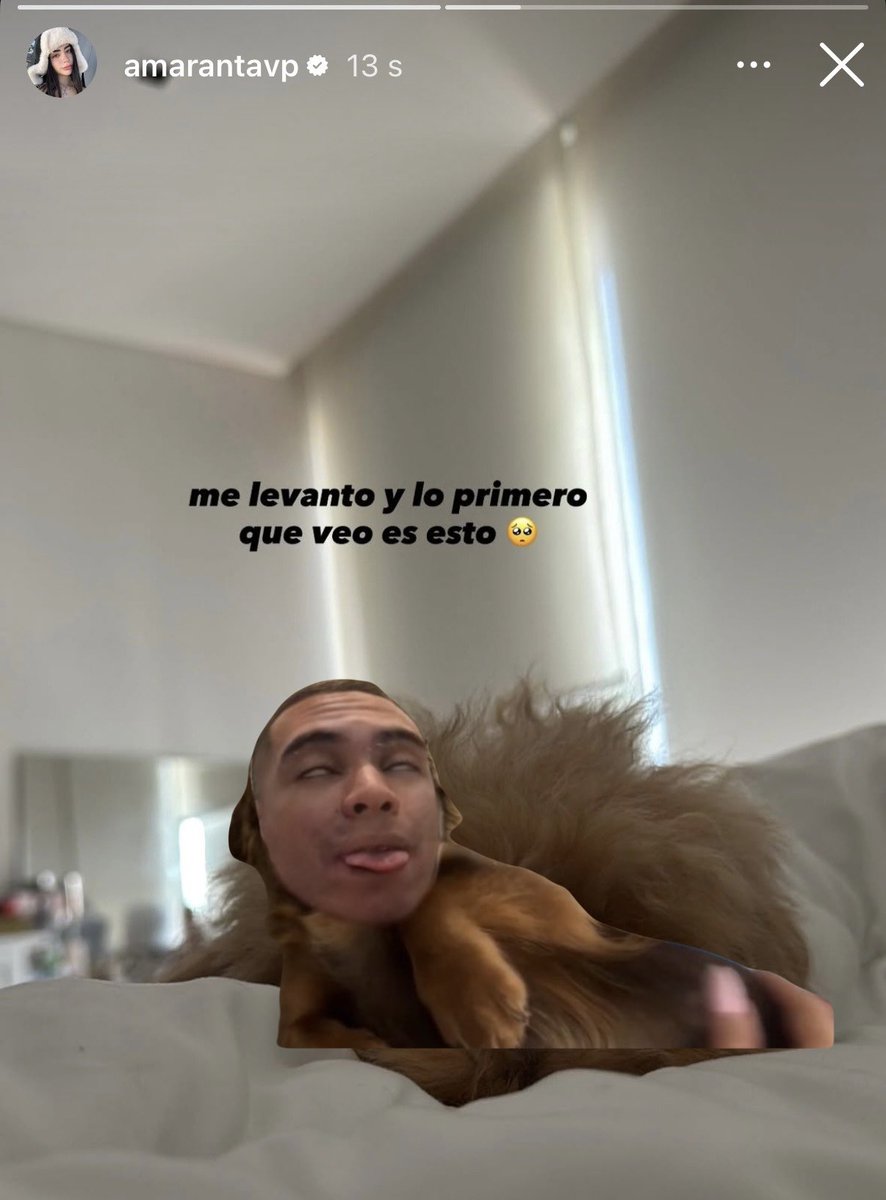 Cucaliano3000's tweet photo. Que tierno aww 🥰 https://t.co/6vojhfcr21