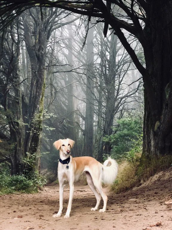 Bodies of Water (@thebodies) on Twitter photo 