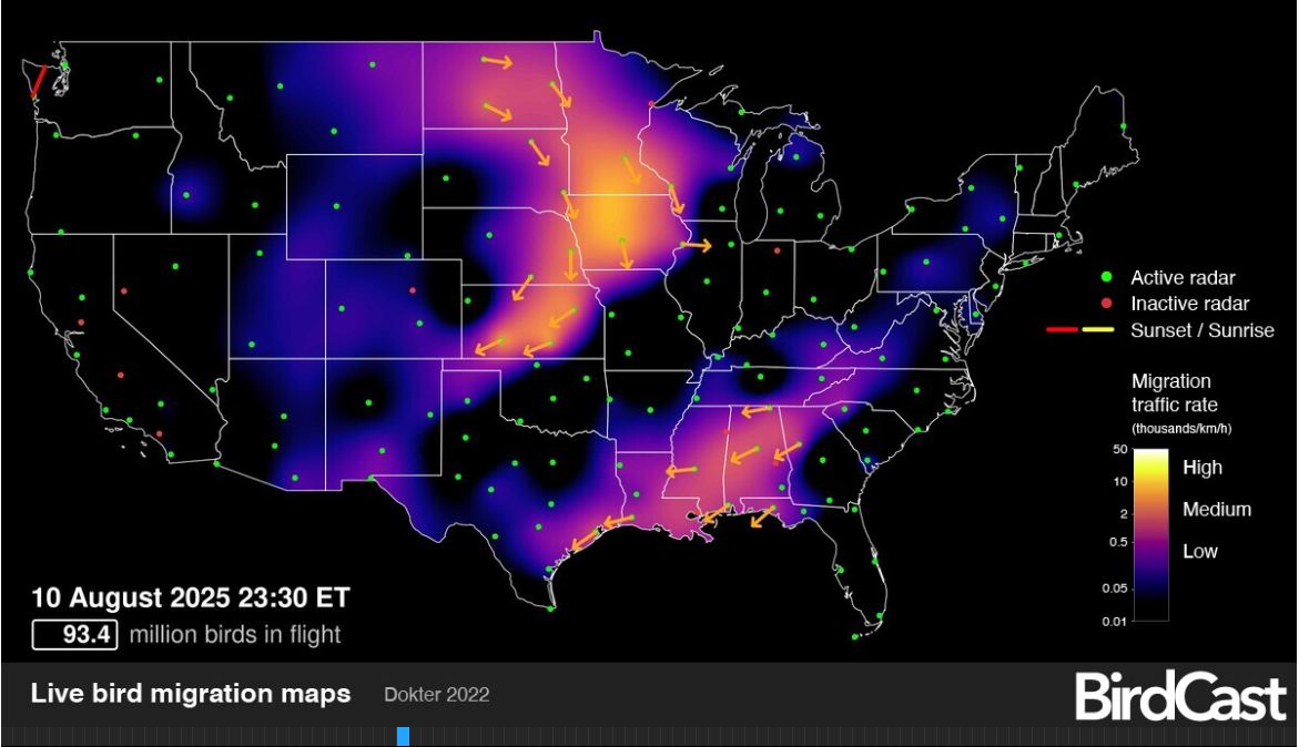 CountyAgAgent's tweet image. Oh boy. The sky is busy. I encourage you to look at the live map There is some level of activity over North Dakota just about every hour of a day. birdcast.info/migration-tool…