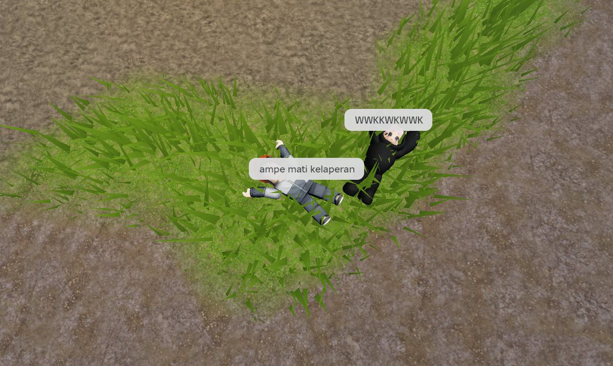 Summit Leuser dengan kelakuan aneh.