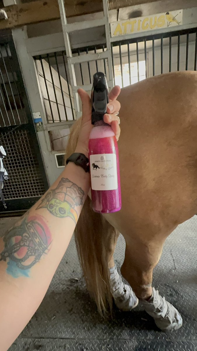 ✨ We love using @armorequestrian Gallop Glitter! It’s a hit with the kids (and let’s be honest… the adults too 😉). Just a sprinkle adds a whole lot of sparkle to your ride and makes every moment shine a little brighter! 🐎💖
