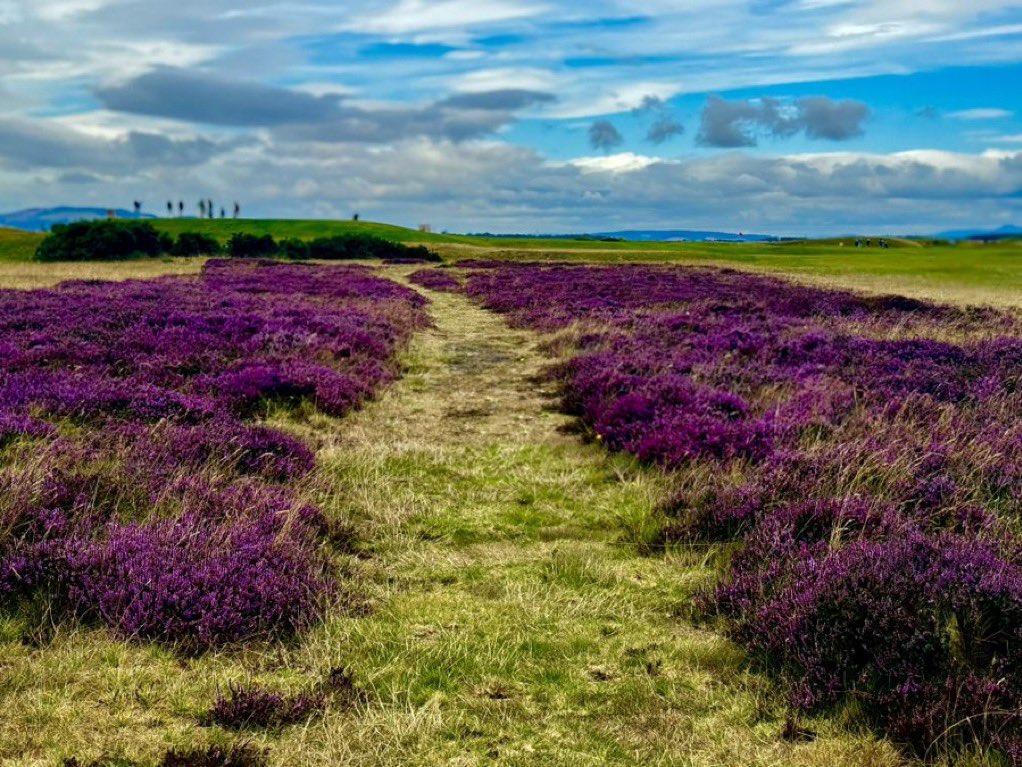Rodney_crouse1's tweet photo. Likely the best #GolfPhoto I have taken so far this week. To find this path you have to hit a semi-snap-semi bubble hook on the 10th (for the record I still parred the hole). 

How stunning is this little path? 

@TheHomeofGolf 
@RandA https://t.co/59iYWteRlD