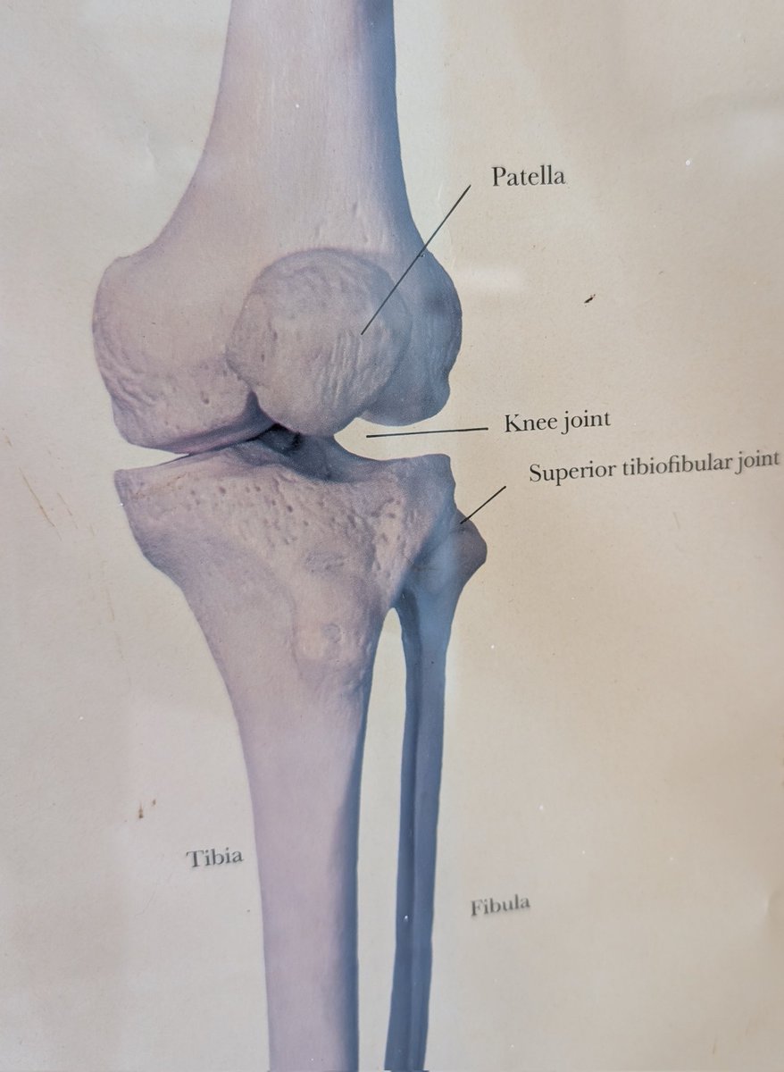 Paul Mwirigi Muriungi tweet media