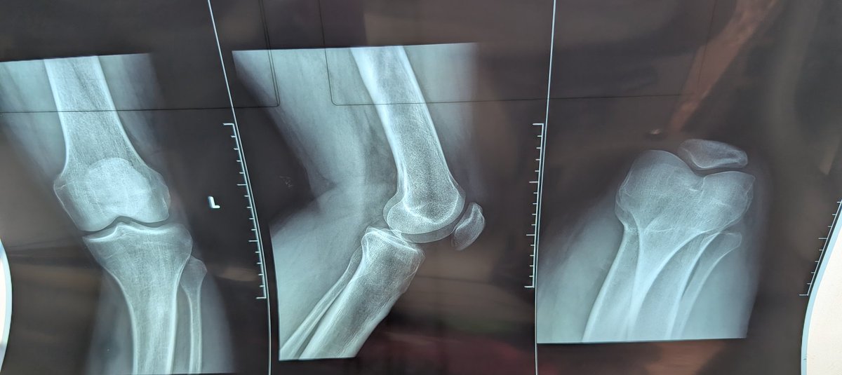 Paul Mwirigi Muriungi tweet media