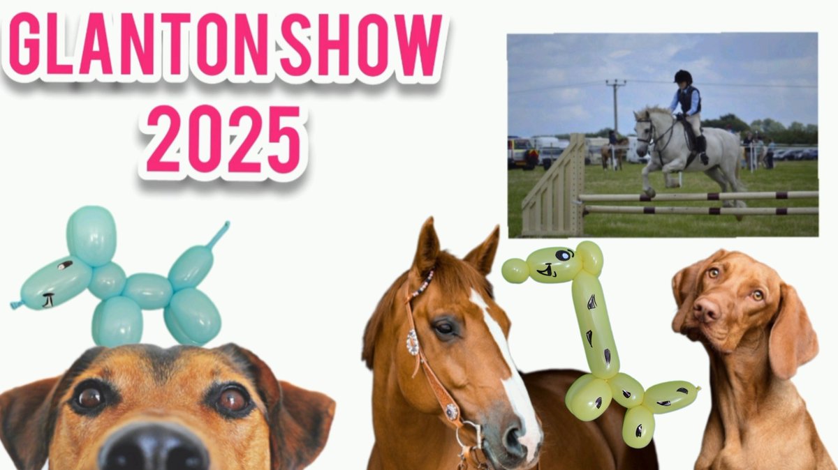 sunsettballoons's tweet photo. Glanton Show 2025 was such a great family day event with lots of animals and lots of smiles. 😊
.
#glantonshow 
#ballionmodelling 
#childrensentertainer 
#summer2025 https://t.co/zWvqn1riDD