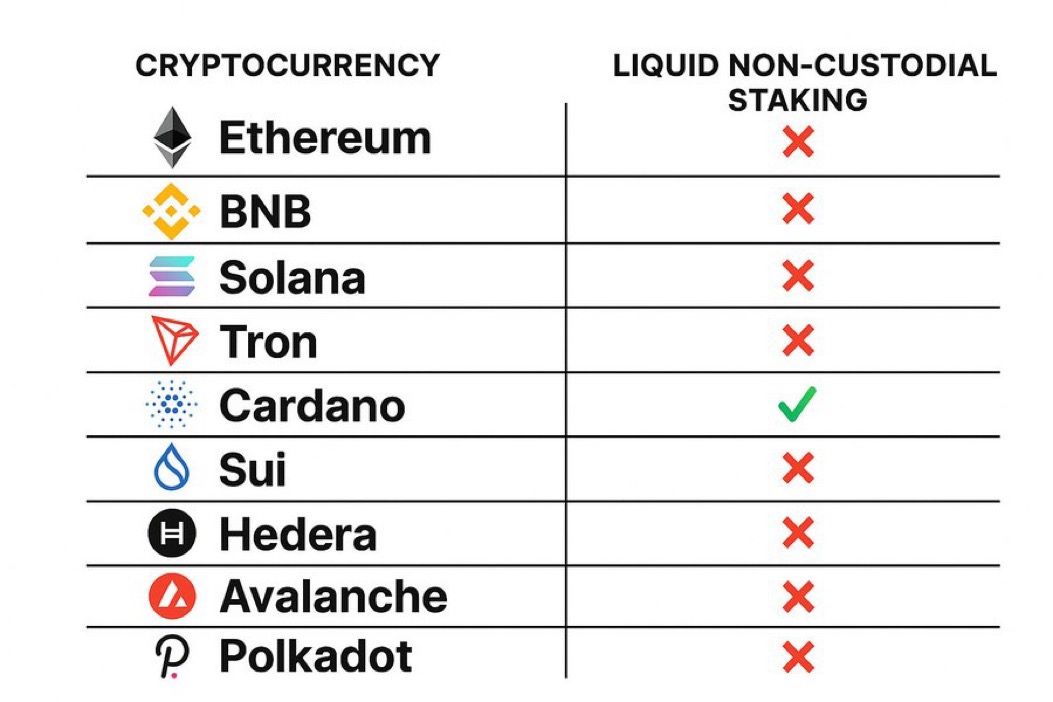 TapTools's tweet photo. FACT: Cardano is the only top 10 proof-of-stake blockchain offering native, non-custodial liquid staking. https://t.co/Oh875CCLTg