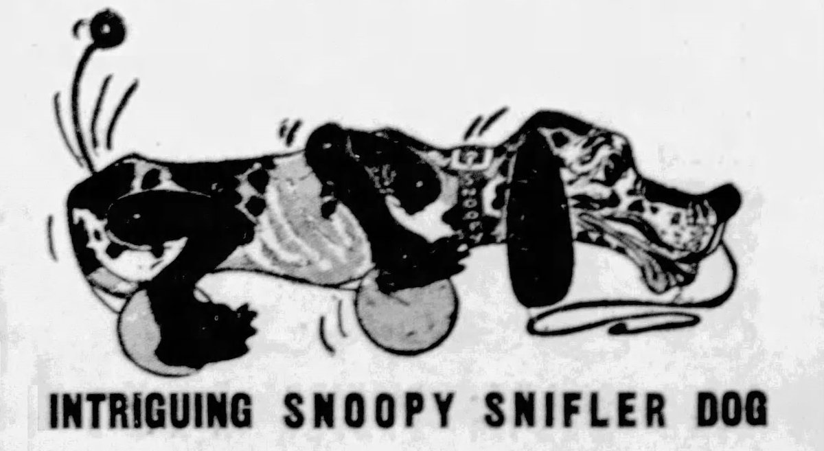 "Snoopy" dogs predate the beloved character from Charles Schultz's Peanuts comic strip.  A "Snoopy Sniffler" dog was invented and sold during the 1930s, more than a decade before Snoopy made his first appearance.