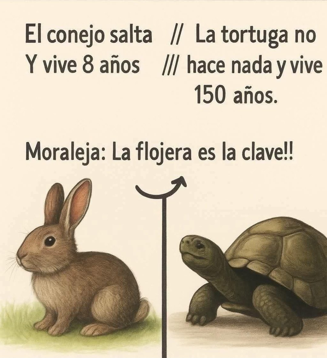 Edgar Rey Cuervo (@reycuervo1) on Twitter photo 