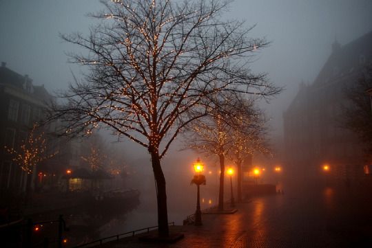 talya9646171863 tweet picture