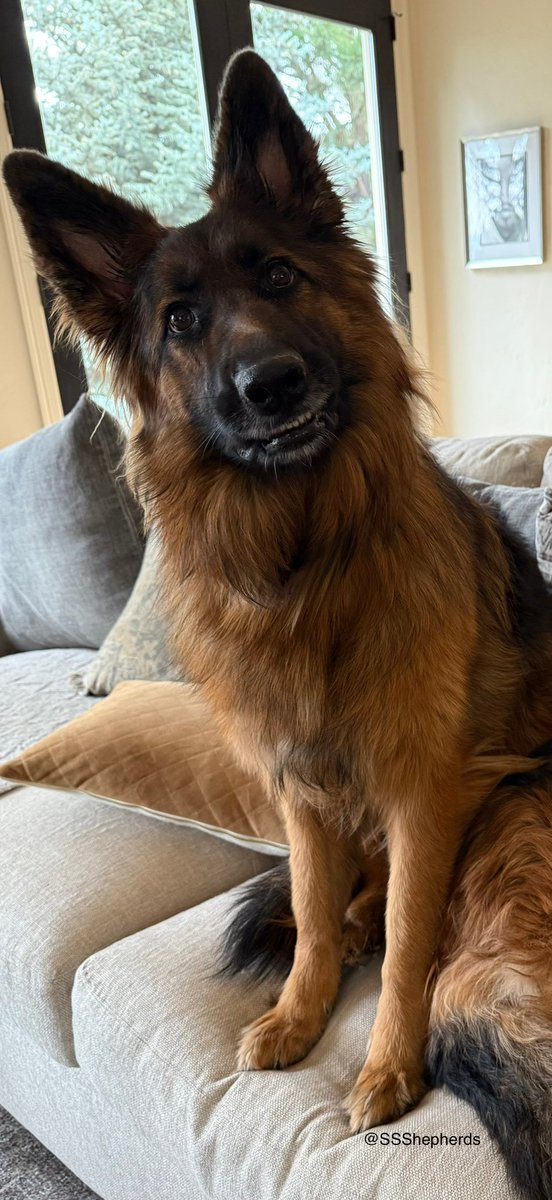 Monday already… where did the weekend go?  Have a great week everypawdy!