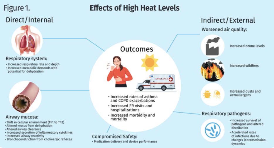 PF Warrior (@pfwarrior) on Twitter photo Heat waves are becoming more frequent and dangerous, especially for people with pulmonary fibrosis.
This article from <a href="/atscommunity/">American Thoracic Society (ATS)</a> explains how extreme heat can make it harder to breathe, increase hospital visits, and even be life-threatening.
atsjournals.org/doi/abs/10.116… Heat waves are becoming more frequent and dangerous, especially for people with pulmonary fibrosis.
This article from <a href="/atscommunity/">American Thoracic Society (ATS)</a> explains how extreme heat can make it harder to breathe, increase hospital visits, and even be life-threatening.
atsjournals.org/doi/abs/10.116…