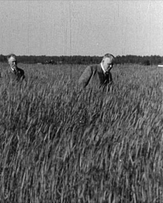 Gandrīz kā 1936. gadā. 🤓