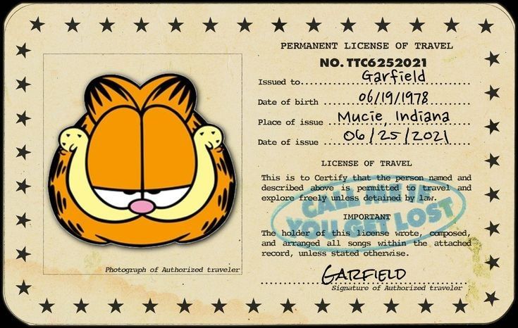 chocomentoso's tweet image. holis! soy tarotista hace un tiempo, y me gustaría brindar servicios de lecturas e integrarme en la comunidad, ademas de brindar lecturas gratuitas semanales
si pueden dart rt o seguir me ayudarían mucho &amp;lt;3