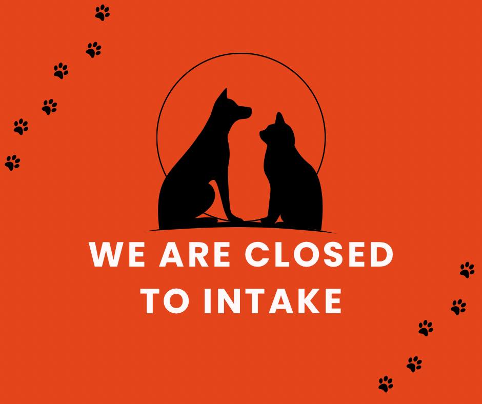 nlwestspca's tweet photo. It breaks our hearts to share this news — for the time being, the NL West SPCA cannot take in new animals. With the vet situation at critical we will be unable to provide the care that new animals often need.  See our facebook page for more information. https://t.co/4UxJYiW9K4