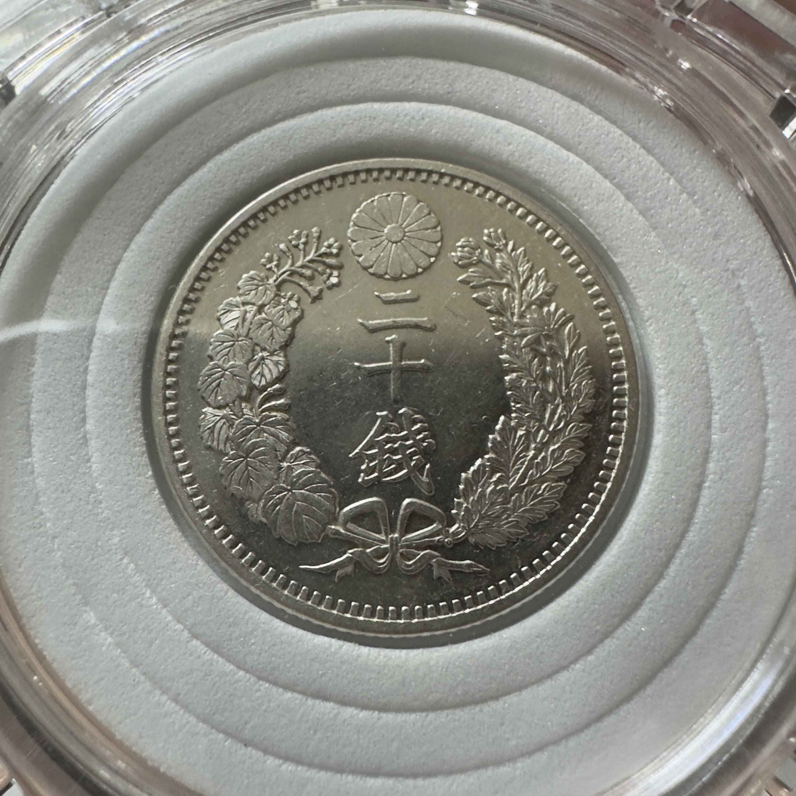 グレナダ 1オンス銀貨(2020年,タコ) ① グレナダ 1オンス銀貨