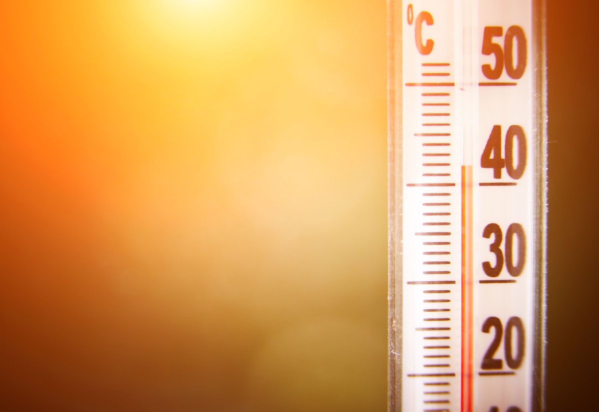 City of Brampton (@citybrampton) on Twitter photo Extended Heat Warning is in effect for #Brampton! ☀️
Cool off at:
📚 <a href="/BramptonLibrary/">Brampton Library</a> or #Brampton public access buildings
💦 Any recreation centre, splash pad or outdoor pool
Reminder to never leave pets or vulnerable people in the car. 🚫
For more tips, visit 🔗: Extended Heat Warning is in effect for #Brampton! ☀️
Cool off at:
📚 <a href="/BramptonLibrary/">Brampton Library</a> or #Brampton public access buildings
💦 Any recreation centre, splash pad or outdoor pool
Reminder to never leave pets or vulnerable people in the car. 🚫
For more tips, visit 🔗: