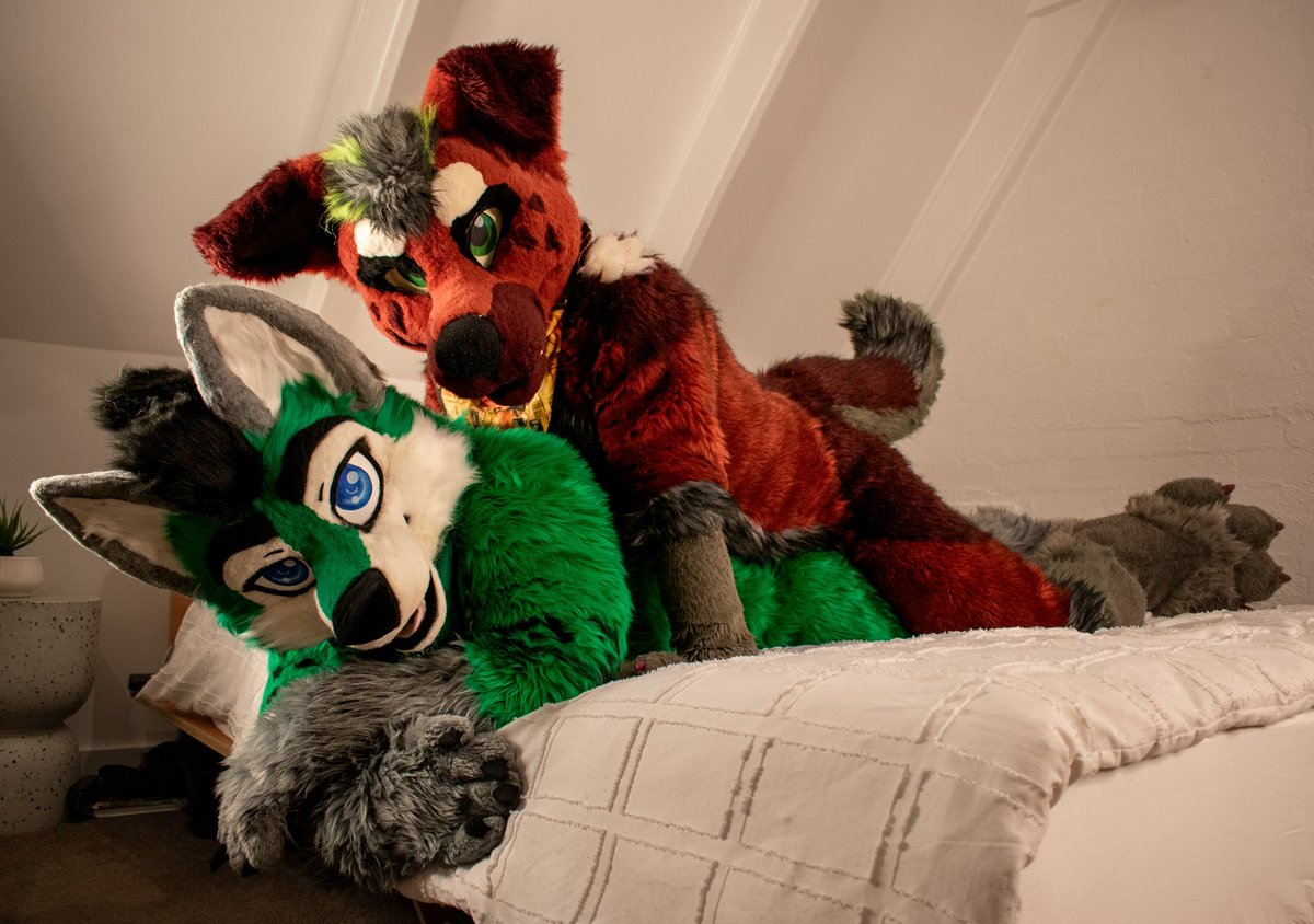 Just bros bein bros~ 🐕

🐶 - <a href="/Murrlot/">Merlot</a> 
📸 - <a href="/algos_puma/">algos // brunswick</a>