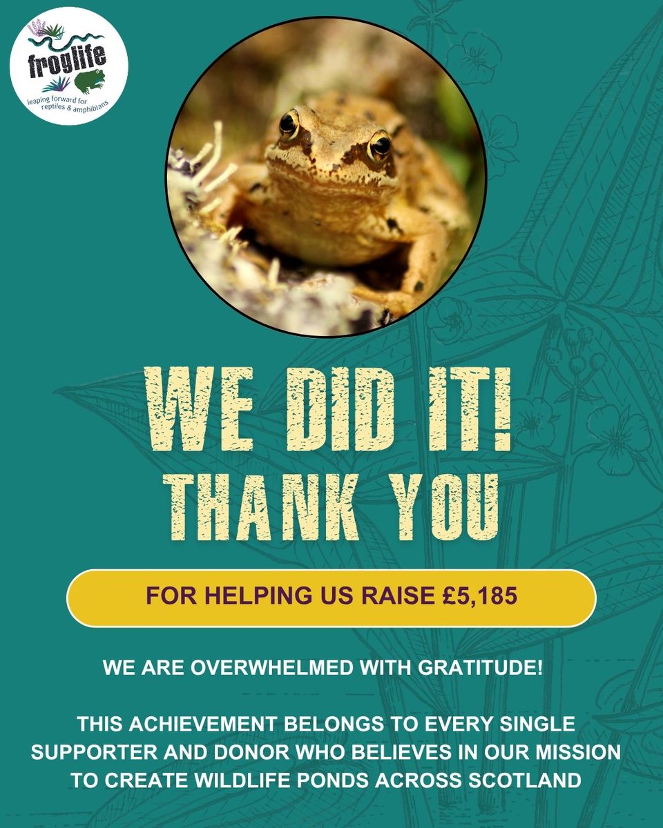 TARGET SMASHED! 

£5,185 raised for Scotland wildlife ponds. Extraordinary - Froglife community raised £1,875 in just 3 days to get us over the line. 

Now we approach funders with proof that communities want children to discover wildlife. 

Thank you to every supporter.