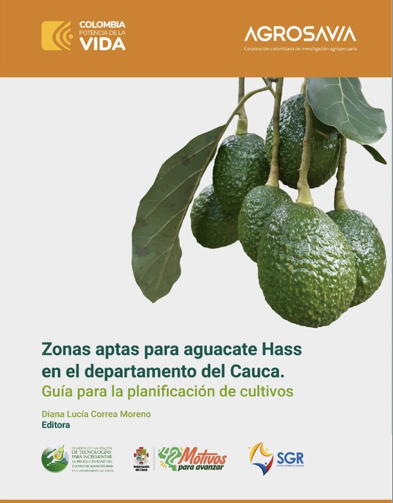 SomosAGROSAVIA's tweet photo. #EditorialAGROSAVIA Zonas aptas para aguacate Hass en el departamento del Cauca: guía para la planificación de cultivos. 👇
https://t.co/ALJwUb7dUd https://t.co/NqV23MXudz