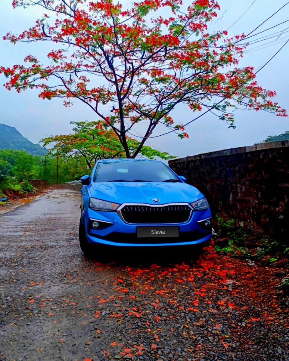 sidakandblc's tweet photo. Beneath the blossoms, the Škoda Slavia stands like a work of art —bold in spirit, 
flawless in design, and ready to turn every road into a runway.

Every drive is a masterpiece, every journey a story worth telling. 

#SkodaSlavia #SkodaIndia #BloomWithPower https://t.co/d1xysLpDiF
