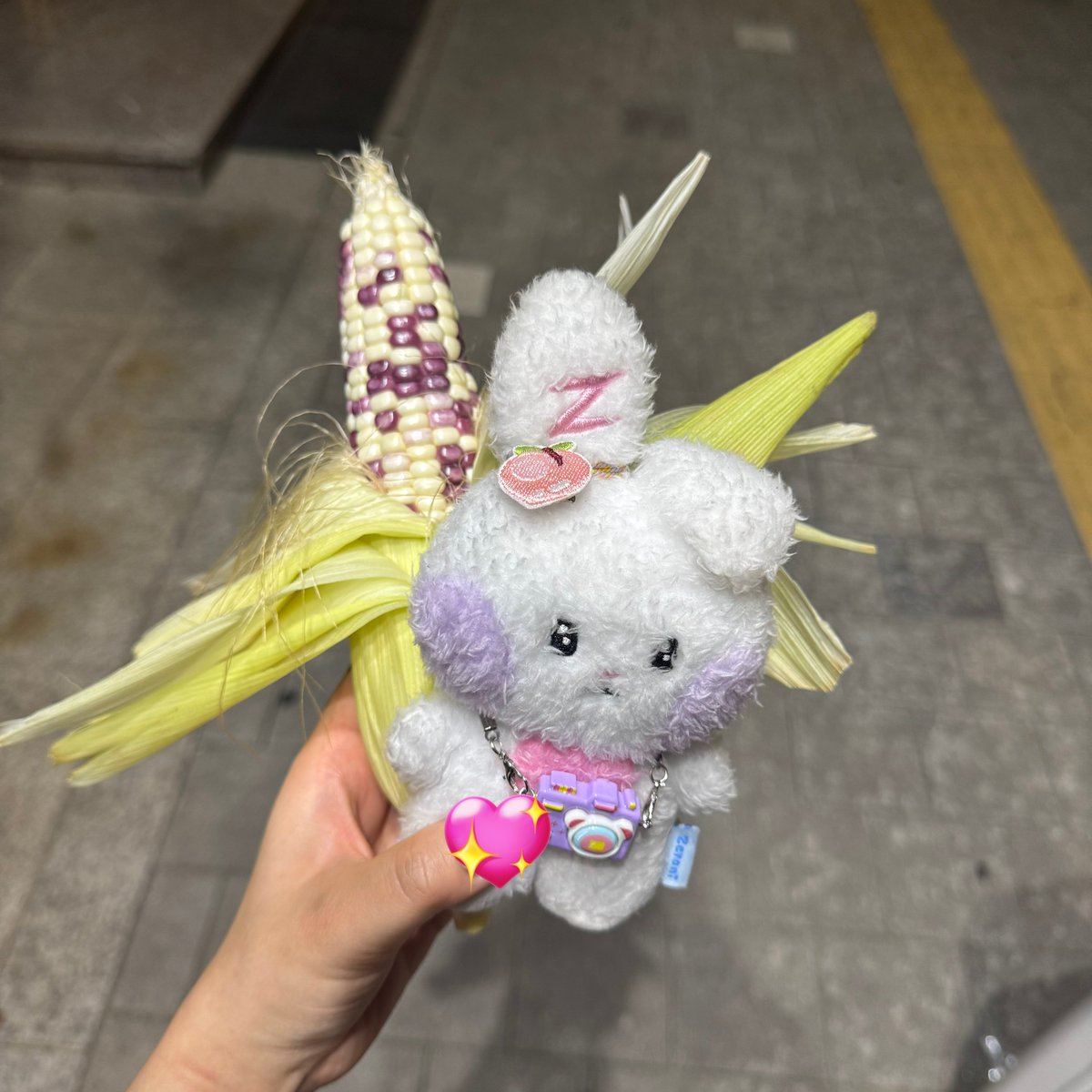 maplesyrup_7's tweet photo. そういえば、カラフル옥수수だった🌽 https://t.co/DttcUvvQxH
