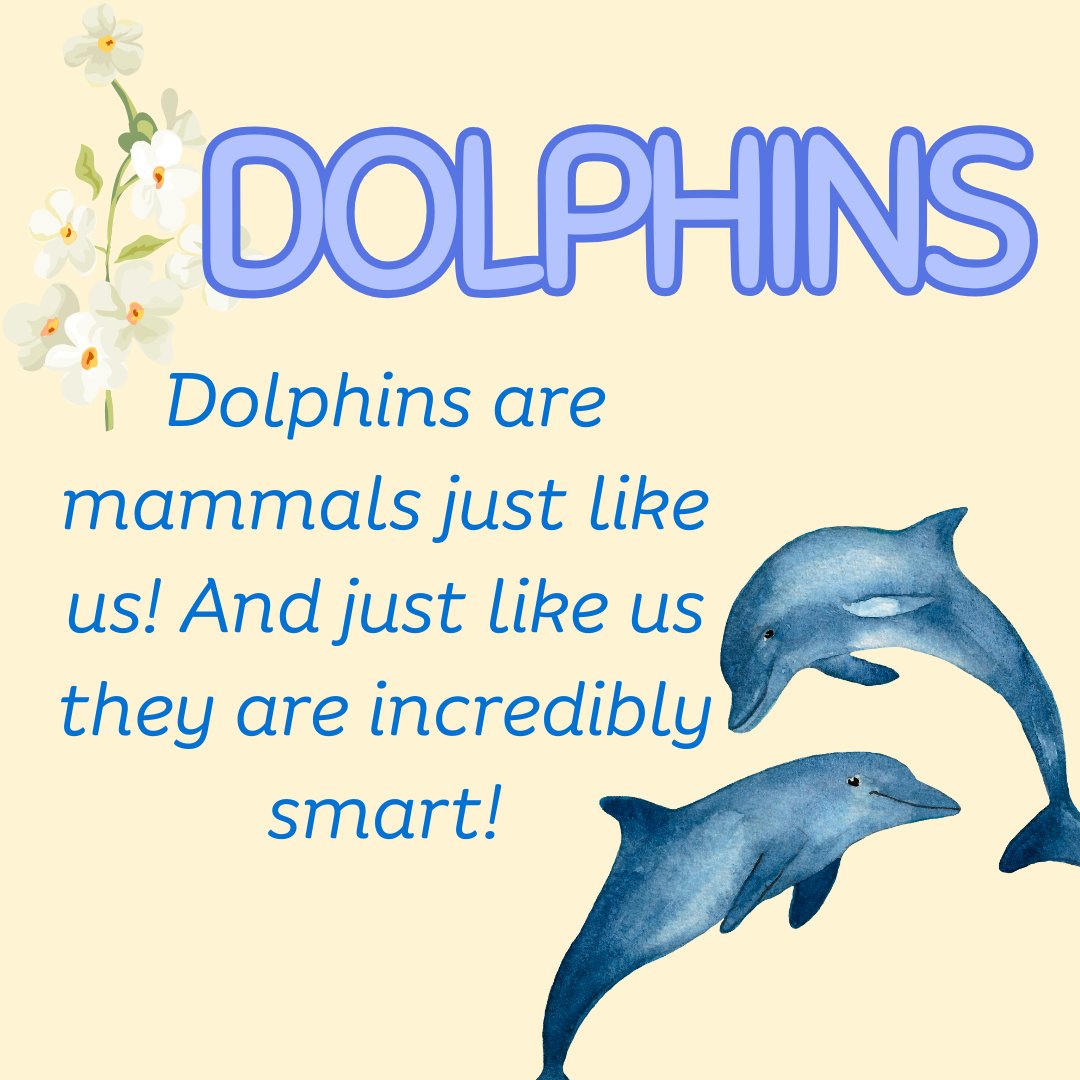 It's Mammal Monday! Dolphins are beloved mammals and some of the only aquatic mammals! The most amazing thing about dolphins, they're super smart! They have complex societies and very large brains, they are also really good at mimicking sounds! #dolphins #mammal #steameducentres