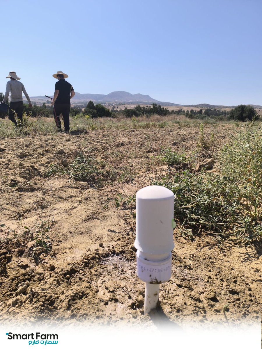 SmartFarmTN's tweet photo. 🌿 Toujours sur le terrain, l’aventure continue ! 🌿
📍 Région : Zaghouan 

Notre équipe Smart Farm TN vient d’installer deux nouveaux capteurs d’humidité S.Sensor 🌳 
🙏 Merci à tous nos clients pour leur confiance.
📞 +216 20 340 241 https://t.co/wTgIDeoaoj