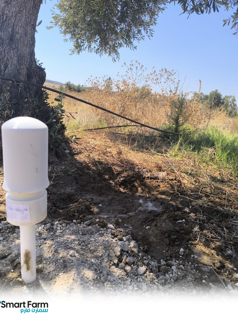 SmartFarmTN's tweet photo. 🌿 Toujours sur le terrain, l’aventure continue ! 🌿
📍 Région : Zaghouan 

Notre équipe Smart Farm TN vient d’installer deux nouveaux capteurs d’humidité S.Sensor 🌳 
🙏 Merci à tous nos clients pour leur confiance.
📞 +216 20 340 241 https://t.co/wTgIDeoaoj