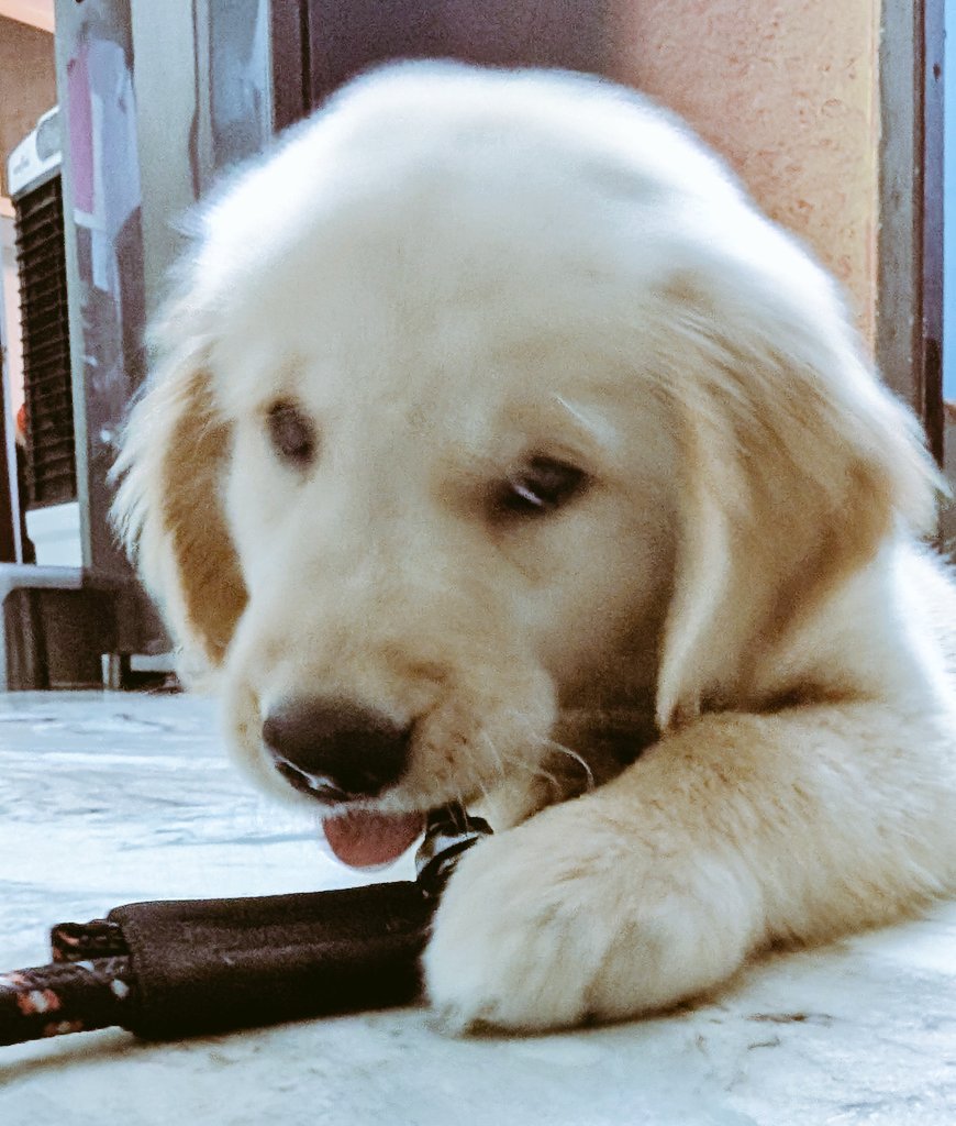 Subbu Gadu tweet media