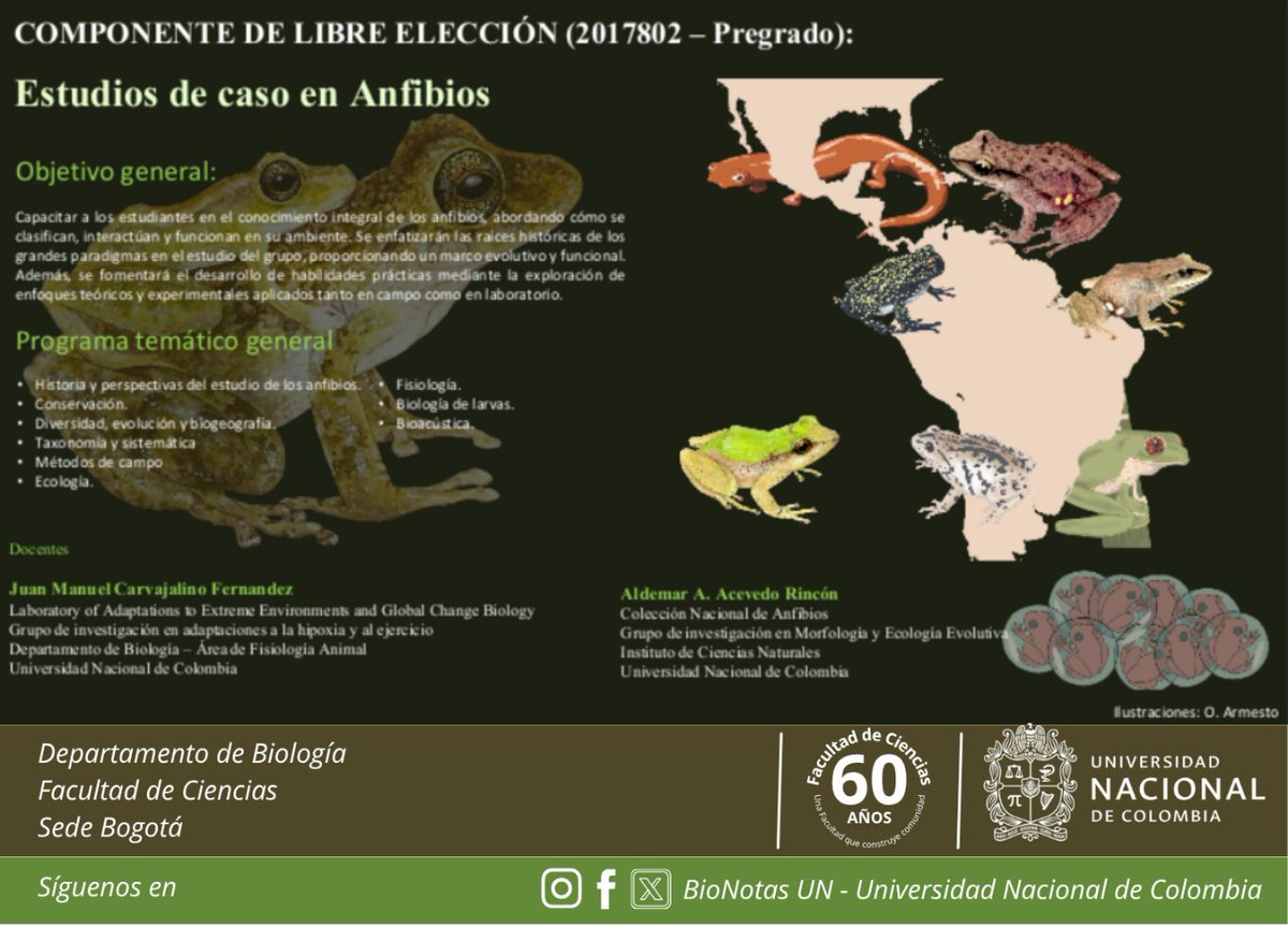 Invitamos a inscribir la materia para el 2025-2 "Componente de Libre Elección (2017802 – Pregrado): Estudios de caso en anfibios", la cual será dictada por los profes Juan Manuel Carvajalino, del Depto de Biología UN y Aldemar Acevedo, perteneciente al <a href="/icnunal/">Instituto de Ciencias Naturales - UNAL</a> <a href="/CienciasUNALBog/">Facultad de Ciencias - Universidad Nacional</a>