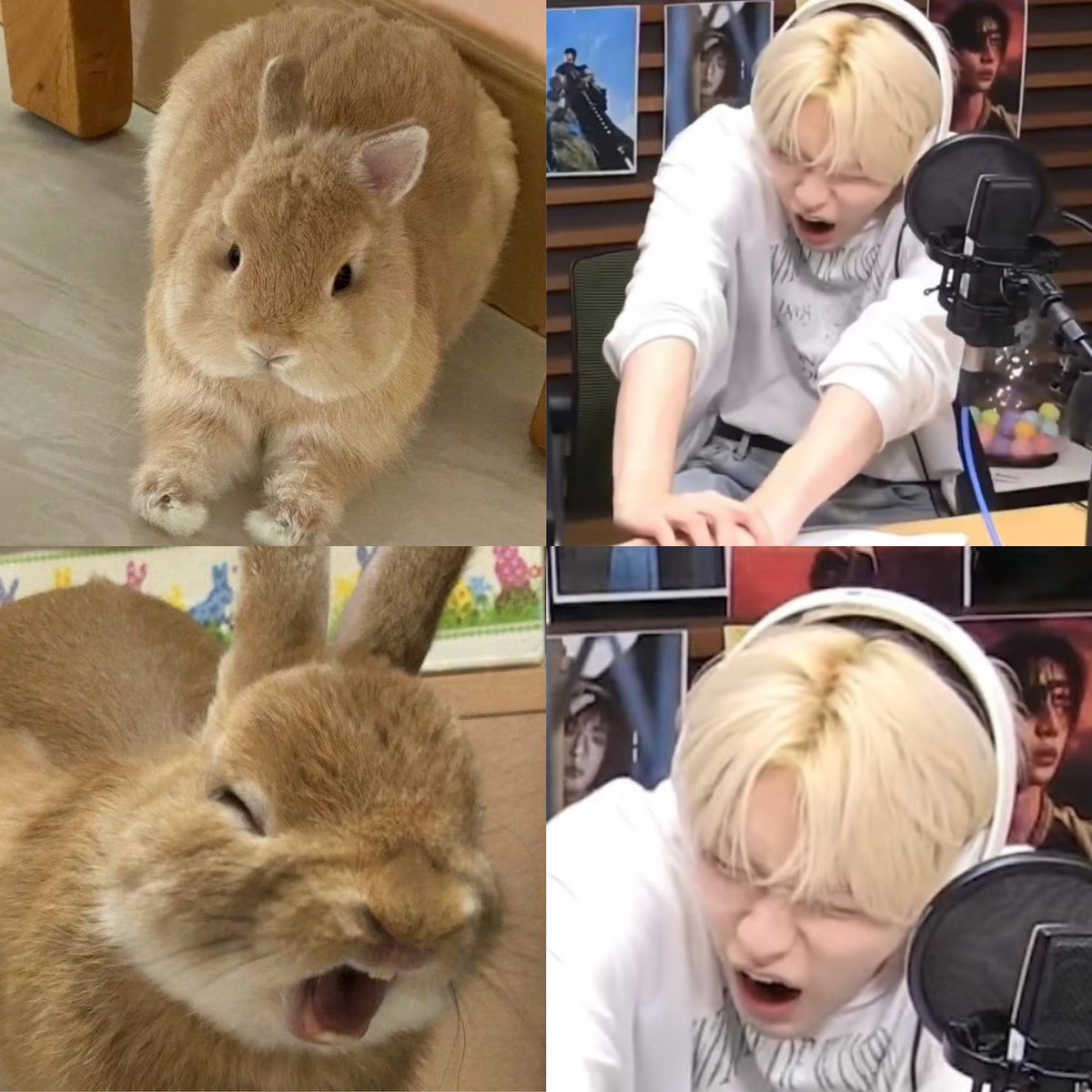 쭉쭉잉