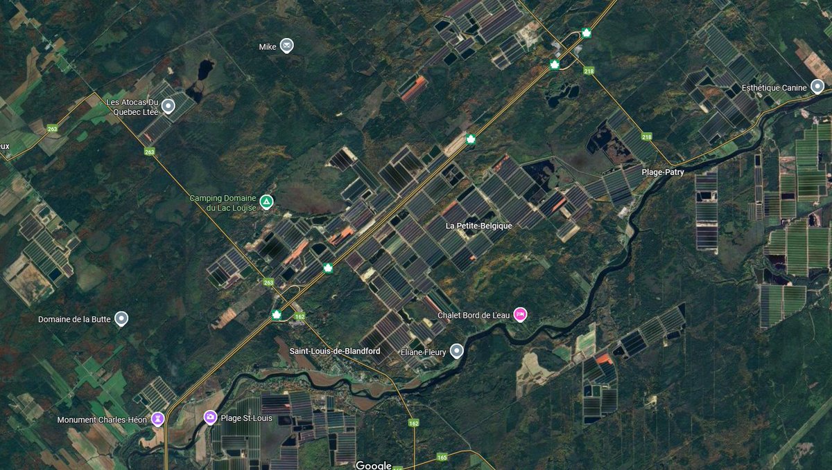 Voici à quoi ressemble la concentration de cannebergières le long de l'autoroute 20, dans le Centre-du-Québec. ici.radio-canada.ca/nouvelle/21838…