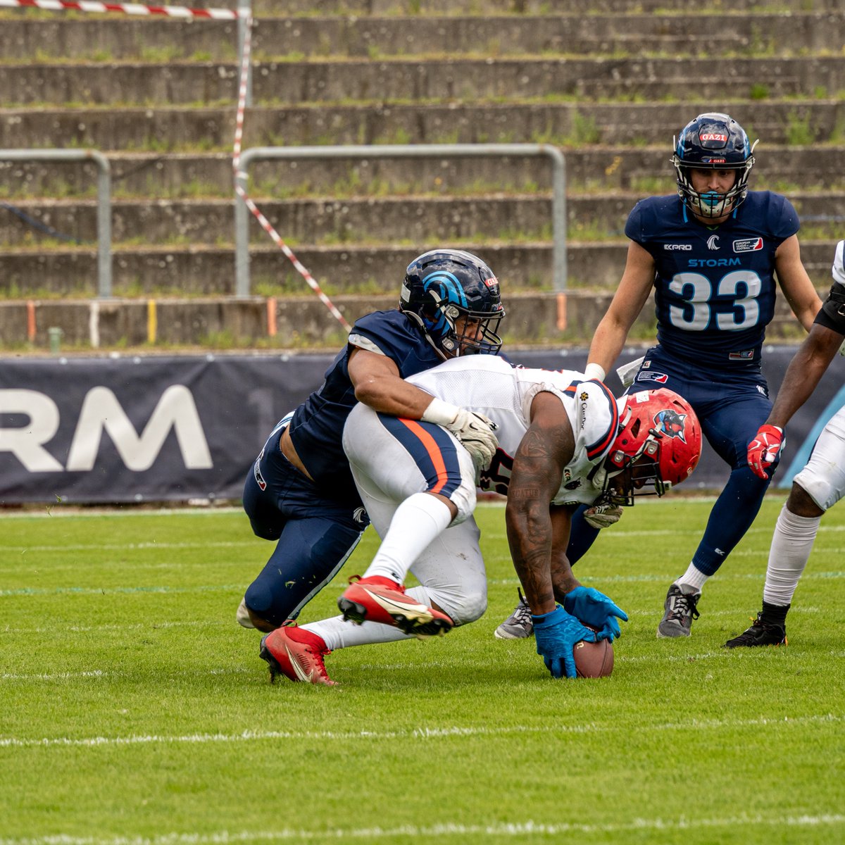 Hamburg Sea Devils tweet media