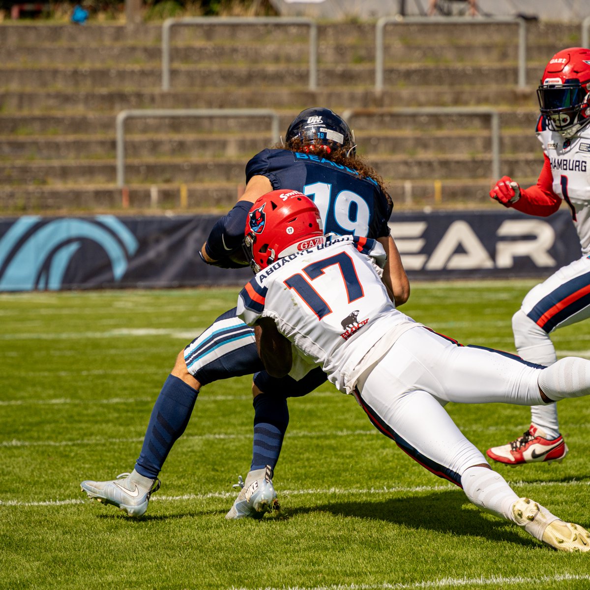 Hamburg Sea Devils tweet media