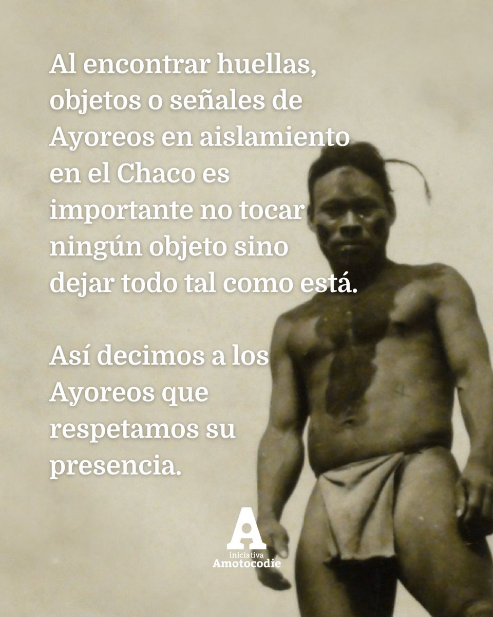🛑 𝗜𝗠𝗣𝗢𝗥𝗧𝗔𝗡𝗧𝗘: Los Ayoreo en aislamiento tienen derecho a decidir su futuro. El contacto forzado puede ser mortal para ellos.