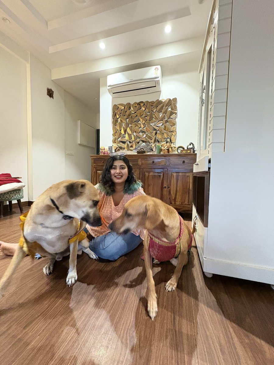 imtheishtar's tweet photo. If you are a resident of Delhi-NCR and if you fan please please adopt an Indie, pls pls pls do so.
If you’re planning to get a dog anytime soon, adopt an Indie off the streets, I did it too and istfg it will change your life for good 
Dont let them die in shelters

#straydogs https://t.co/B3KEAO4Od4