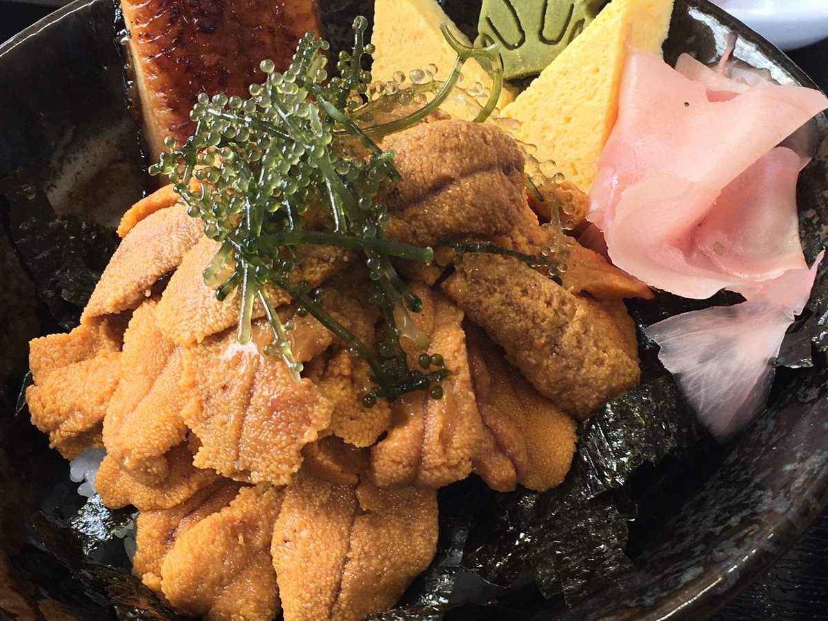 ryukyumoonstar's tweet photo. 今年はコロナの他に心臓の病気になってしまいました（泣）入院も2回しました（泣）皆様くれぐれも体に気をつけてください！#沖縄のウニ丼 #ニャンモナイトなネコ #カワイイネコ https://t.co/8lLu2Yv0fY