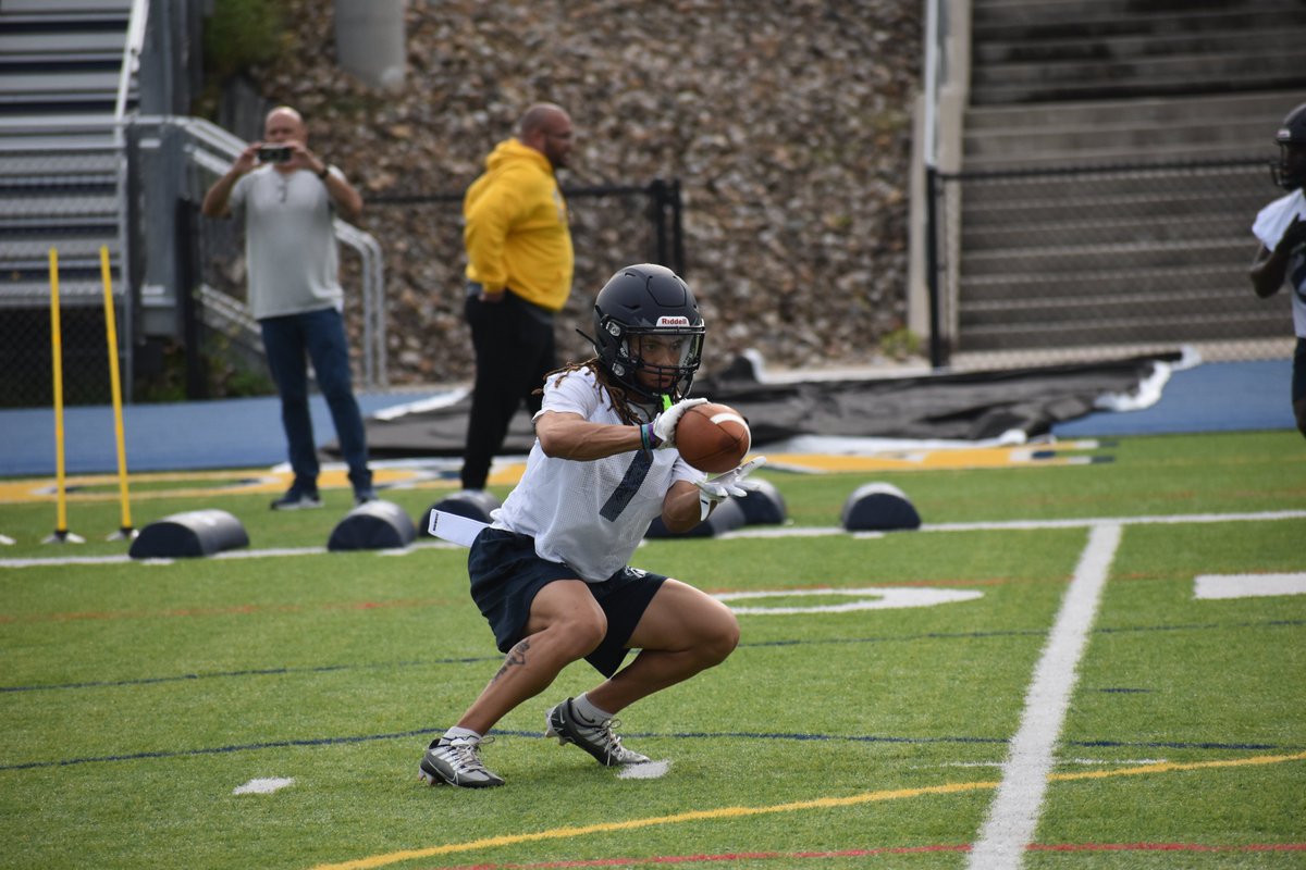 Mount Mercy Mustangs tweet media