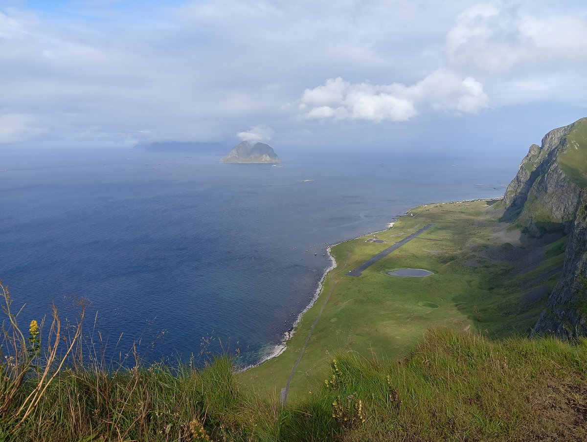 ⚡Mlle 40kVolts⚡ tweet media