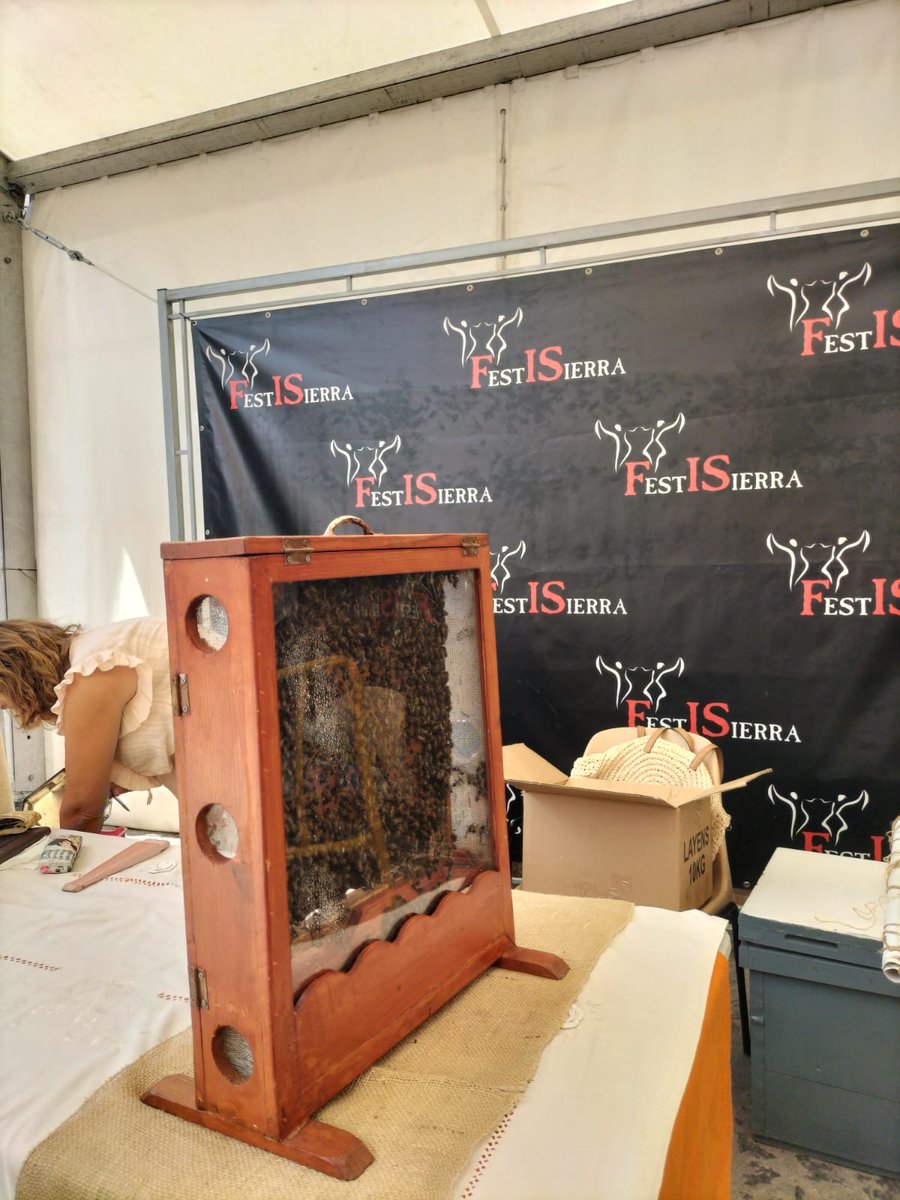 FESTISIERRA tweet media