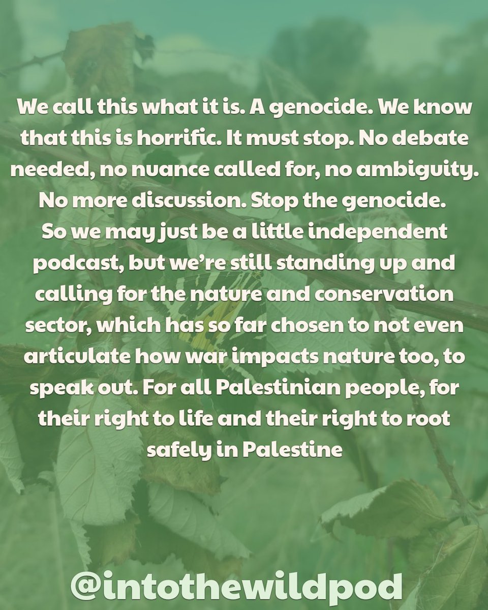 We are on a break until September but jumping back on here to share this 🇵🇸🌎🫶🏻