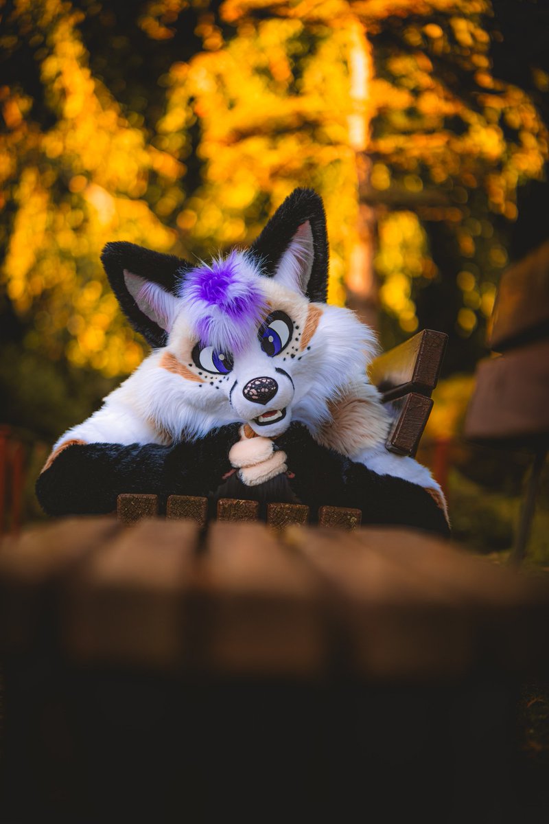 Nico 🔜 NFC tweet media