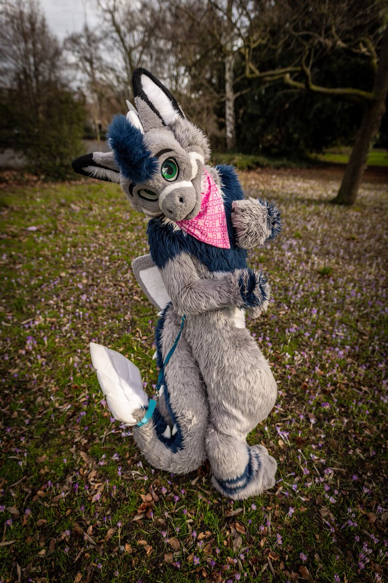 Nico 🔜 NFC tweet media