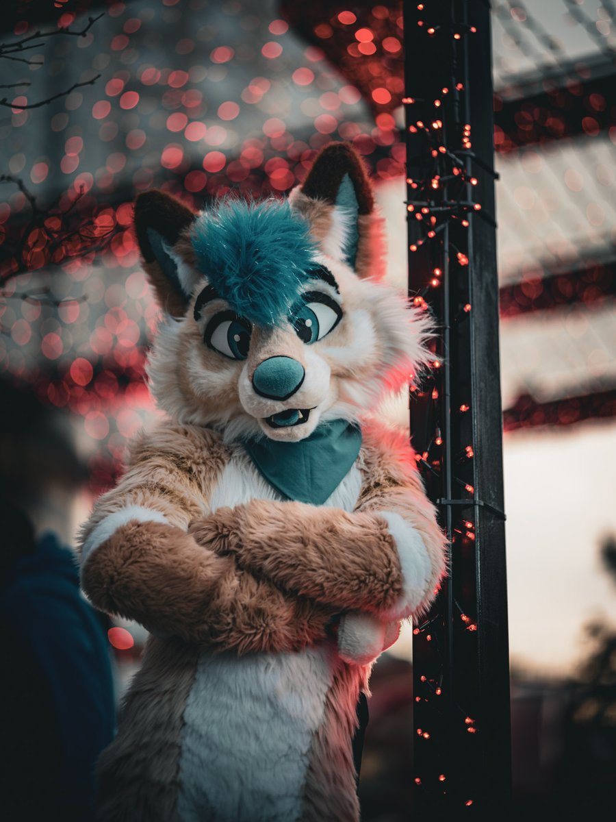 Nico 🔜 NFC tweet media