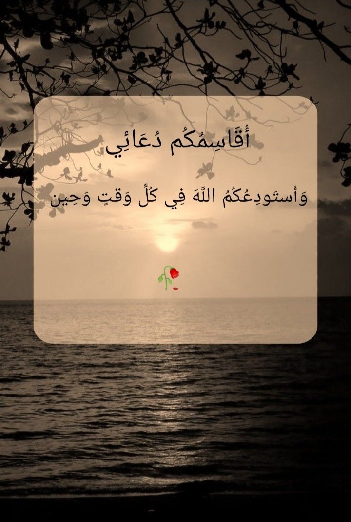 ▪️

سُـبـحَـانَـكَ لَا مُـجِـيـبَ سِـوَاك ☁️

اللَّهُمَّ أَنقِذْ أَهلَ غَزَّة وَأَنزِلْ عَلَى قُلُوبِهِمُ
السَّكِينَة وعَلَى بُيوتِهِم وخِيامِهِم
العَافِيَة اللَّهُمَّ احقُنْ دِماءَهُم
وعَافِ مُصابَهُم وتَقَبَّلْ
شُهَداءَهُم وانتَقِمْ مِن
عَدُوِّكَ وَعَدُوِّهِم
يَا رَب 💔🥀

🖤