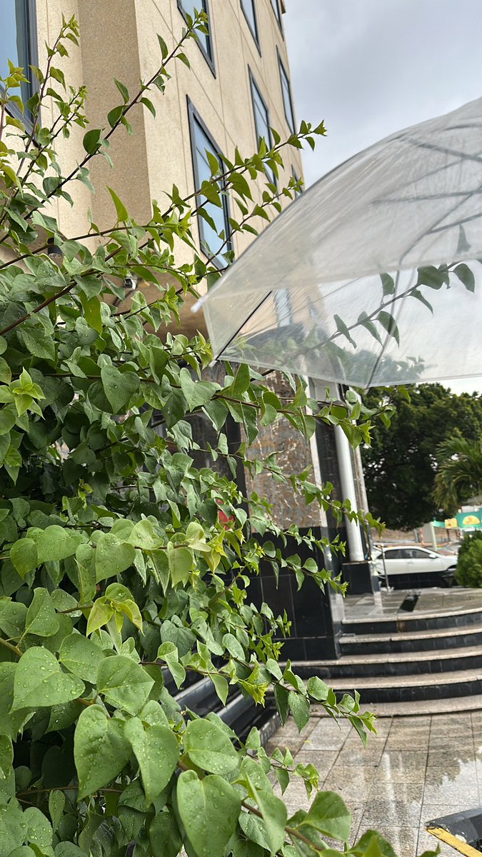 Bydesigenr1's tweet photo. خلصت اليوم هوية مكتب محاماة من الصفر لين الموك أب ✨
قعدتي المفضلة : قهوة، وفلتر، وAi مفتوح ☕💻
واليوم النتيجة.. فخمة زي ما كنت أتخيل 🤍

#تصميم_جرافيك #هوية_بصرية
#شعارات #هوية #مصممة
 #مصممة_جرافيك
 #AdobeIllustrator #adobe
#log #designer #GraphicDesigner https://t.co/IHGadBeIYd